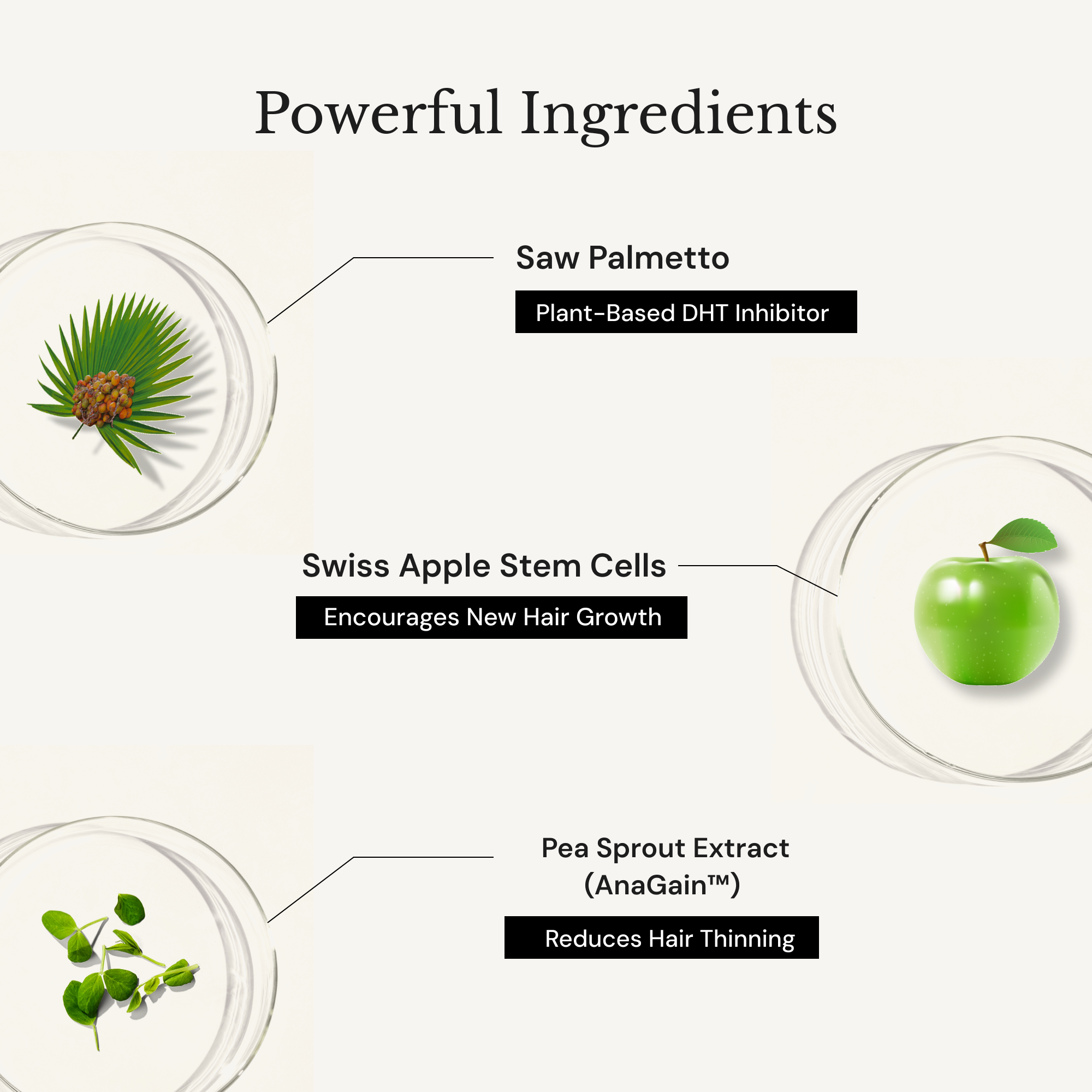 ANAGROW SERUM + SAW PALMETTO SHAMPOO