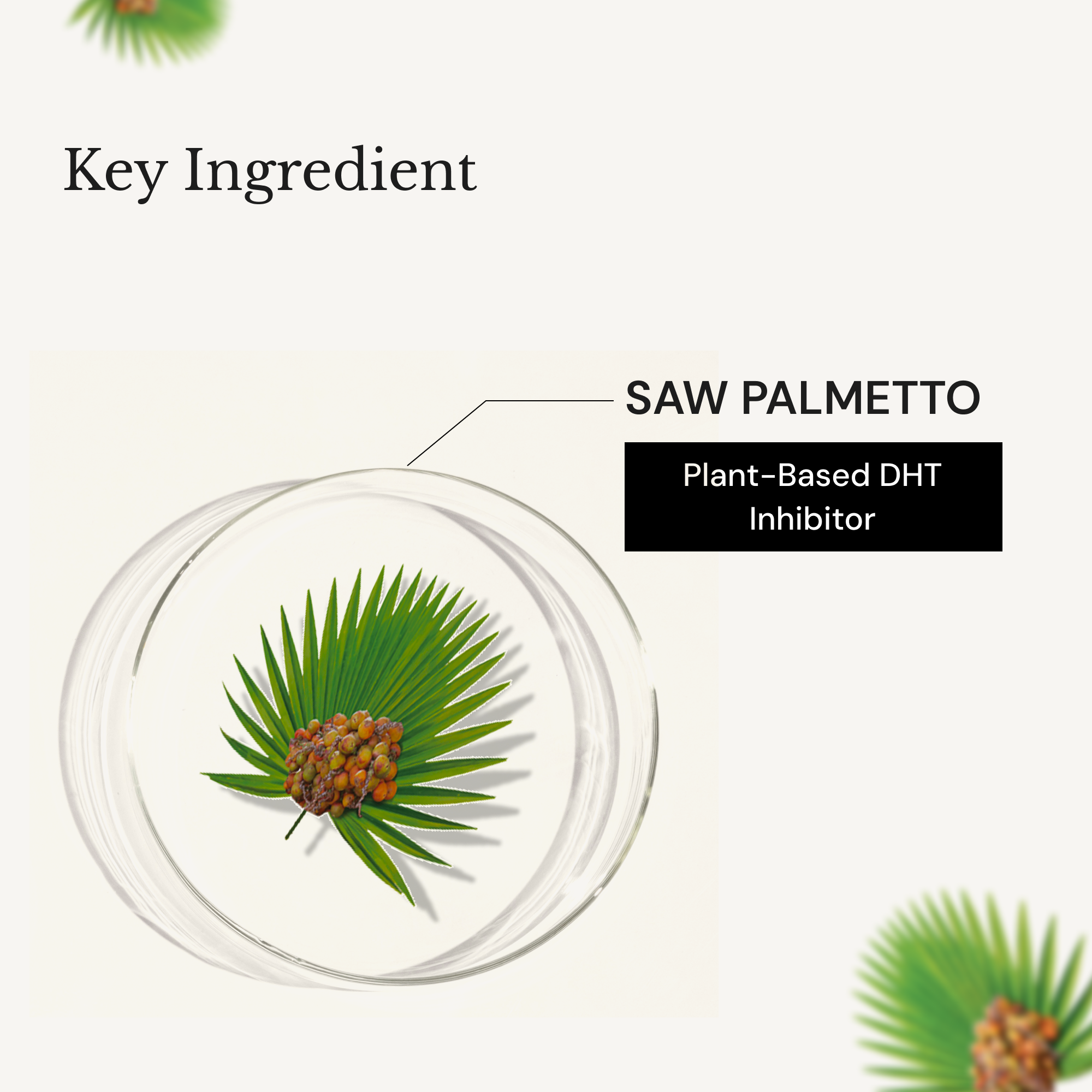 RICHFEEL Scalp Cleanser with Saw Palmetto | Premium Anti-Hair Fall & DHT Blocker Shampoo  (Pack of 2)