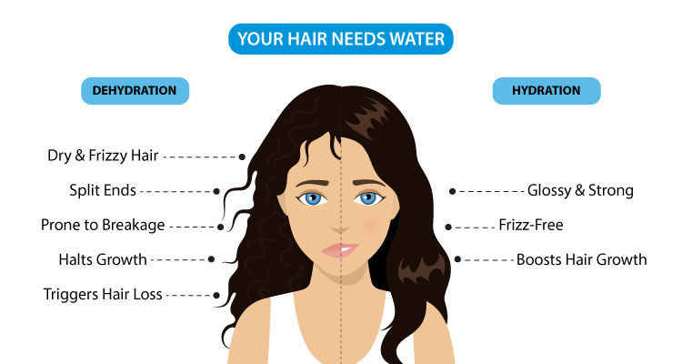 Understand how dehydration affects your Hair