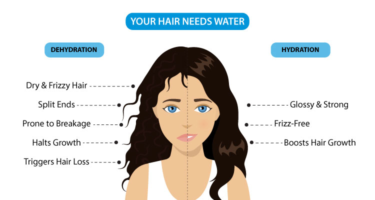 Understand how dehydration affects your Hair Understand how dehydration affects your Hair