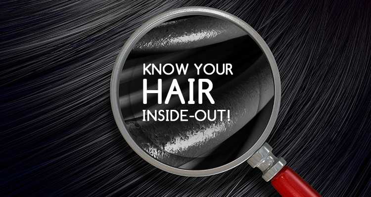 What's your Hair made up of? - Understand Hair Structure & Composition What's your Hair made up of? - Understand Hair Structure & Composition